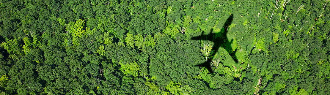 Shadow of 747 flying over trees