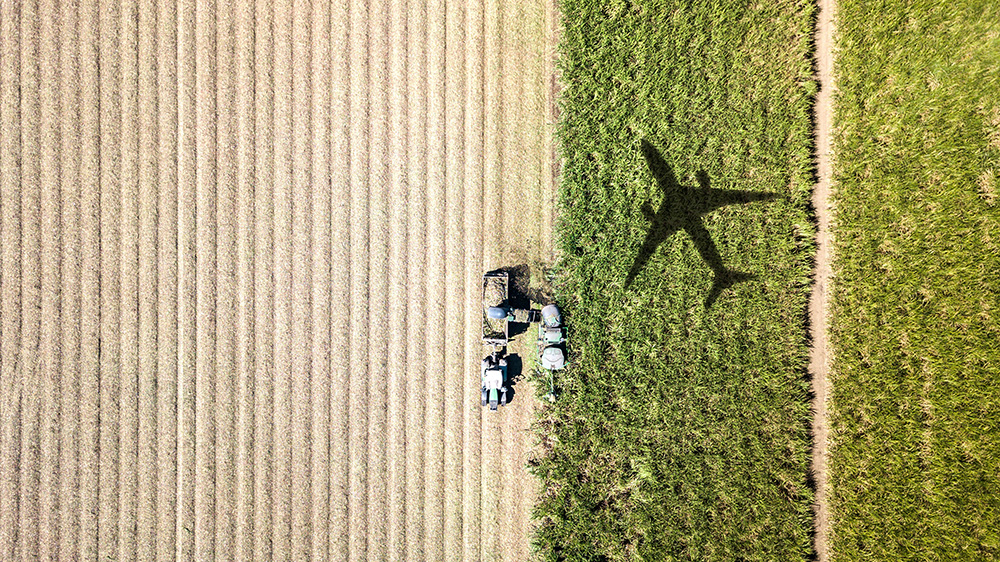 Sustainable Aviation Fuel