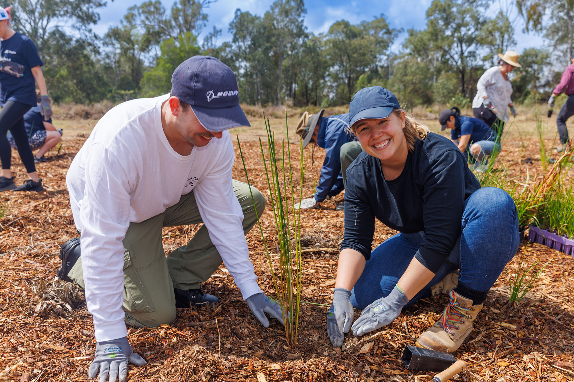 Volunteers planting