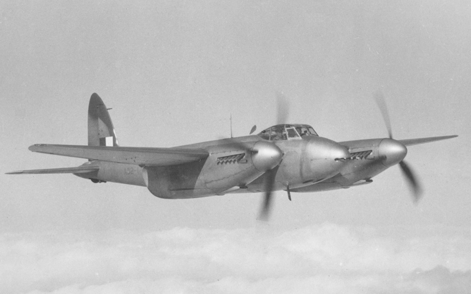 Mosquito