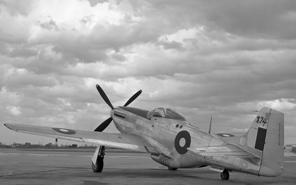 Mustang