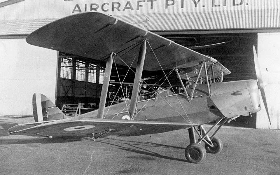 Tiger Moth